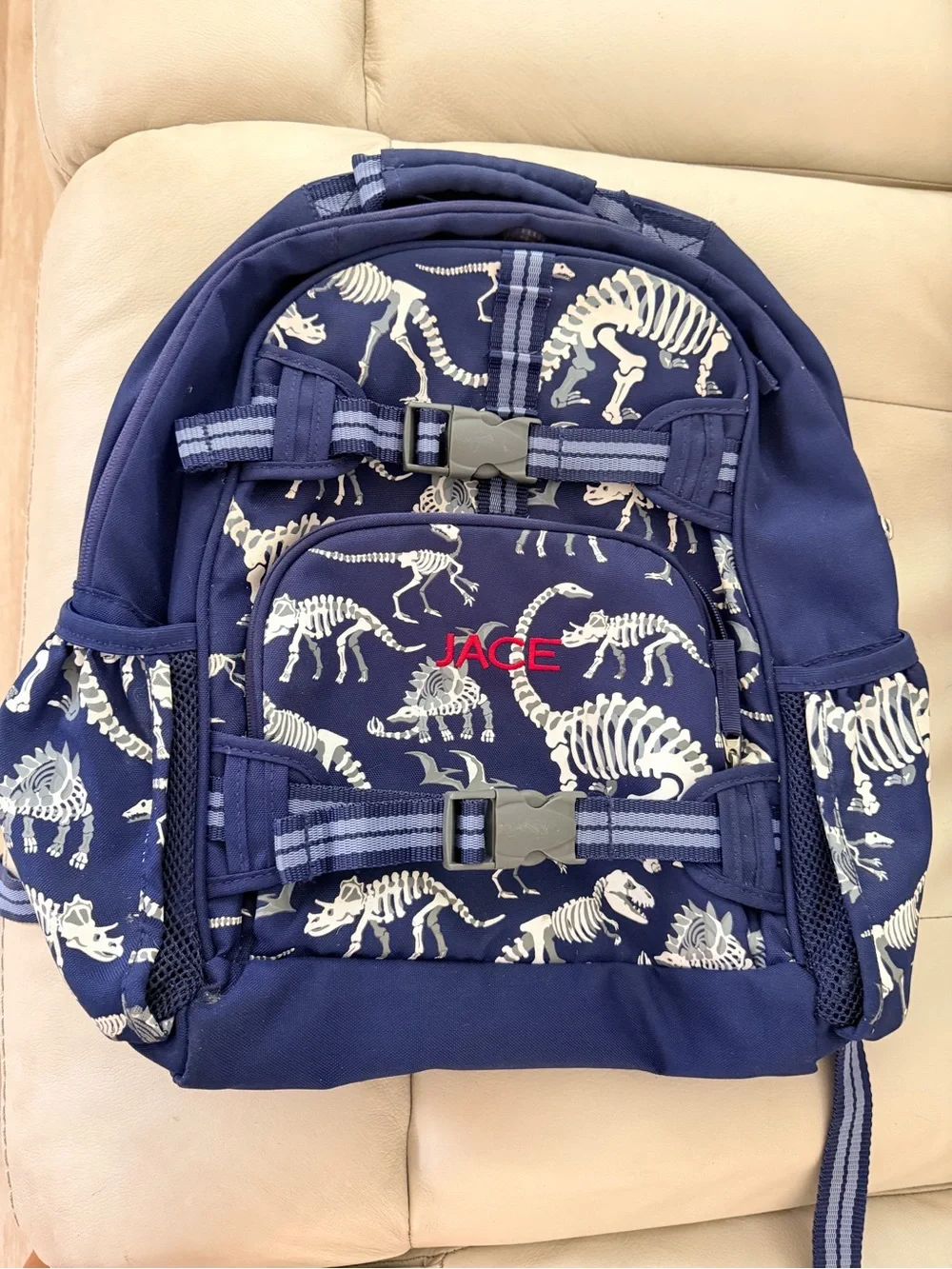 Pottery Barn Dinosaur Kids Backpack